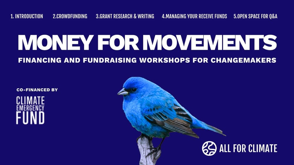 Money for Movements is the title of All for Climate's Financing and Fundraising Workshops for Changemakers, co-financed by Climate Emergency Fund. The image depicts the title in white over a blue background decorated by a bluebird on a tree branch.